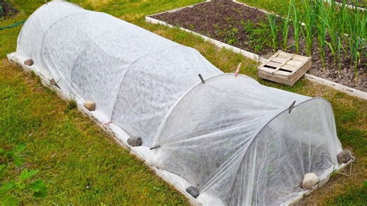 Extend your vegetable growing season with these simple gardening tips