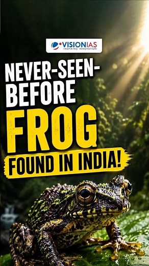 New Frog Species Discovered In Karnataka’s Western Ghats