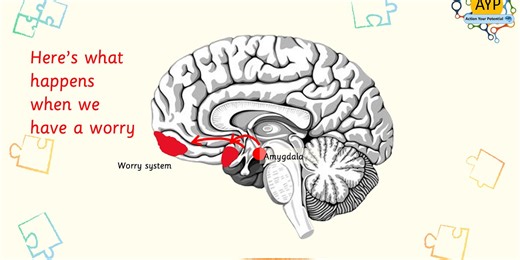 You have evolved to worry