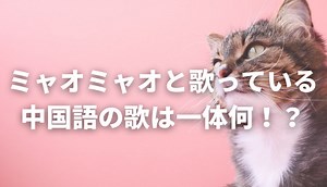 ミャオミャオと歌っている中国語の歌は一体何！？実際の曲名は？｜C-POPマニア〜中国語歌詞の和訳〜