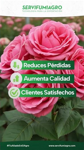 Bioperac - Control de Botrytis en todo tipo de cultivos - Servifumiagro