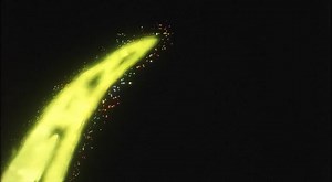 Cyborg 009: Legend of the Super Galaxy (English dub)