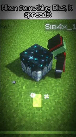 What happened in the ancient city ? ☠️