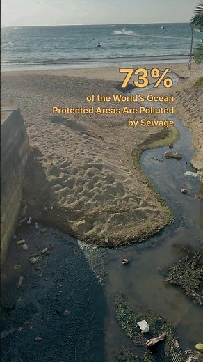 73% of the world’s marine protected areas are polluted by sewage.