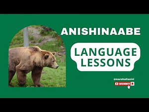 How to speak Anishinaabe - Lesson Eight: Review Lessons 1-4