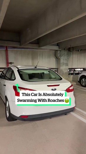 What do you even do in this situation?! 🤢 (📹 @laurentome0) #cockroach #car #ew #insects #fyp