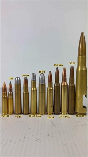 Rifle Calibers explained from .223 to .50 What you need to know.