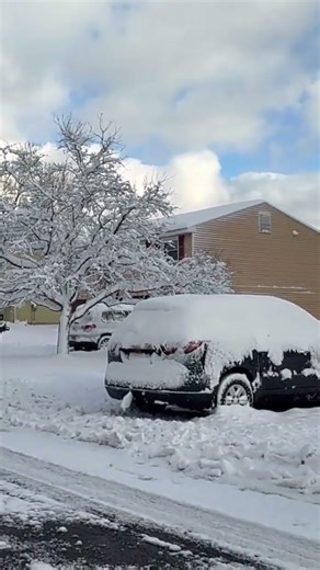 Beautiful snowfall, makes everything ok!! #snowstorm #snowfall #snowstorm #snowday