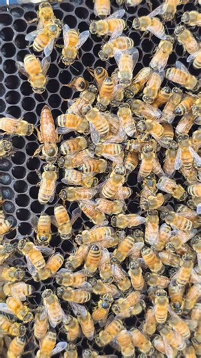 Gurkaran Singh Benipal on Reels