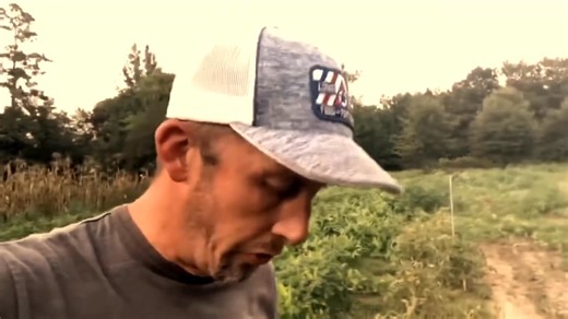 Intemperate minds #BeTheLight #simple #farm #life #story #faith #trust | Washboard Chronicles