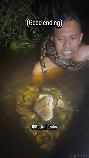 Yaki Kadafi on Instagram: "This video of an adventurer jumping into a river only to be attacked by a giant reticulated python has gone viral, with many claiming that "if he hadn't been with his companions he would have 100% died.""