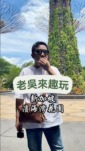 夜晚點燈的世界樹，美得令人驚嘆！🌟 一場夢幻般的視覺饗宴，讓人流連忘返！#世界樹 #雲霧林 #夢幻夜景#親子旅遊 #觀光客 #攝影愛好者#旅遊景點 #新加坡 #自然奇觀