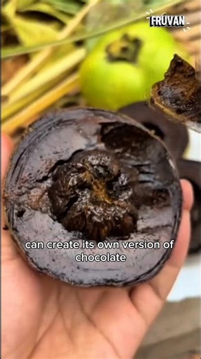 Black Sapote: The Rare Fruit That Tastes Like Chocolate!