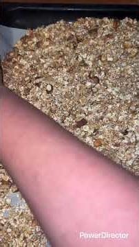 Projet 04-04_Full HD 1080p.mp4