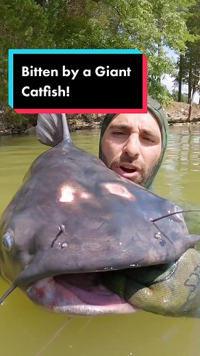 Bare-Handed Catfish Catch: Bitten by a Giant Fish!