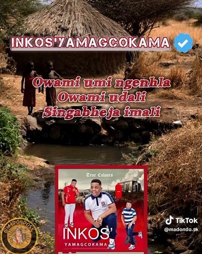 Inkosi Yamagcokama 2025 Isazochomelana lyrics #musiclyrics #maskandimusic #lyrics #shorts