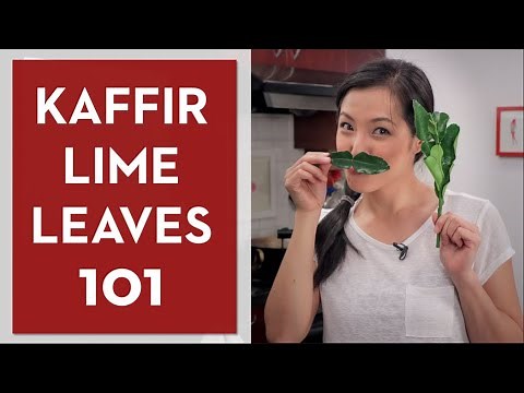 Ultimate Guide to Makrut (kaffir) Lime Leaves - Hot Thai Kitchen