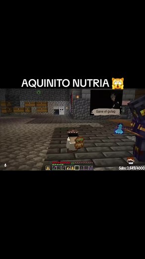 AQUINITO NUTRIA 🙀