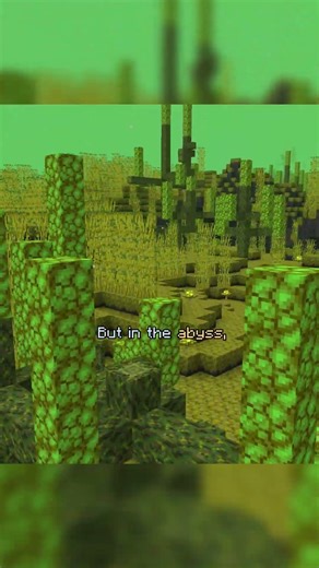 This SMP Has Two Sides To It #minecraft #smp