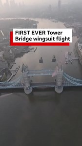 90K views · 736 reactions | Two professional skydivers have completed...