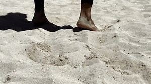 clip-1102558699-close-up-barefoot-dark-skinned-male-feet-dancing-on