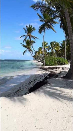 Serenade Punta Cana Beach #dominicanrepublic #beach #4k