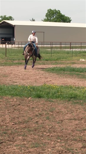 66K views · 1.3K reactions | A loose rein tells the truth. Watch the full training session “Cloverleaf Exercise With a Group” on the NWC website or the DUH app. The video is under the “Applying The Method” category. #applythemethod | Downunder Horsemanship | Facebook