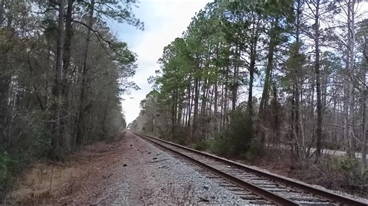 Exploring Georgia's Central Railway: A Railfanning Adventure