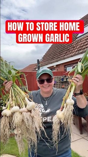 How to store your garlic harvest
