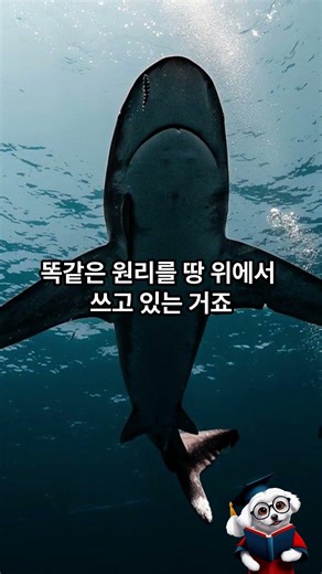 고슴도치인 줄 알았는데 알을 낳는다? 생태계 혼종 끝판왕