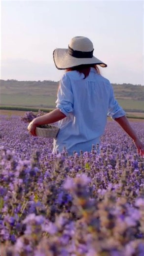 5 Most Beautiful Places in France |Travel Phlux