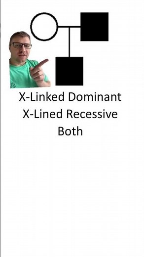 Inheritance in pedigrees