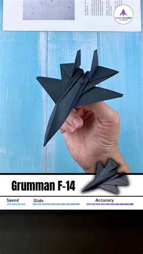 1M views · 7K reactions | Grumman F-14 Tomcat  | Vĩnh Hí | Facebook