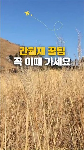 간월재 꼭 이때 가세요 #간월재 #간월재코스