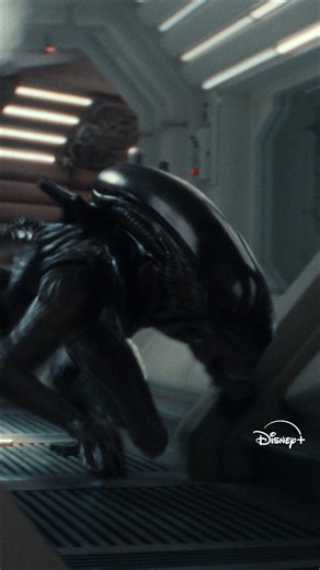 The fight for survival begins in Alien: Earth. Now available on Disney . | Disney PH