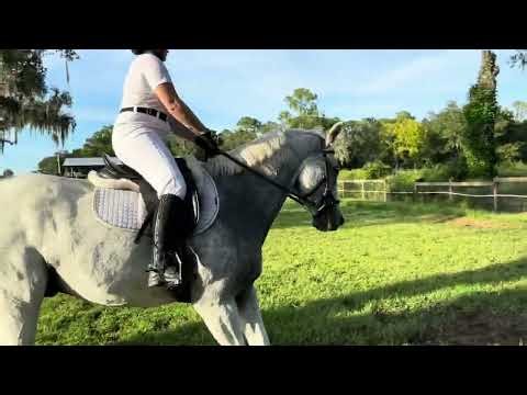 L.A. & Tally Dressage First Level, Test 1 (Sept. 2025)