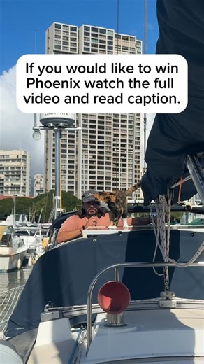 Sailing With Phoenix on Instagram: "I’m giving (my boat) Phoenix away. 1991 Compac 33. Hull 4 of 10. She deserves to be cared for and loved. Three years before I found her, I was diagnosed with Klippel Feil Syndrome. My entire cervical spine is fused together, with a few loose vertebrae that put me at risk for paralysis from the neck down, especially as I age. It turned my world upside down. The pain, the fear, the thought of what’s the point in living a life I didn’t want anymore left me stuck