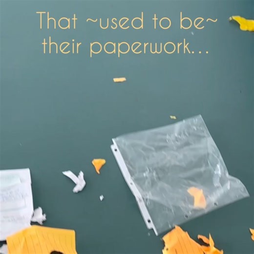 🐾😄 Meet our four mischievous Great Pyrenees-Poodle mix puppies who turned a regular day into a hilariously adorable mess! While they may have left a trail of chaos behind them, their cute antics and fluffy faces make it impossible not to smile. These little ones know how to keep things interesting—it's a mess worth falling in love with! #PuppyMischief #AdorableChaos #GreatPyreneesPoodleMix | National Mill Dog Rescue