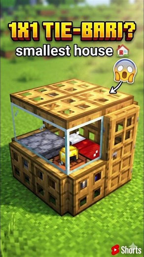 Minecraft smallest house 🏠 |Minecraft meme
