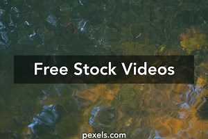 Chill Videos, Download The BEST Free 4k Stock Video Footage & Chill HD Video Clips