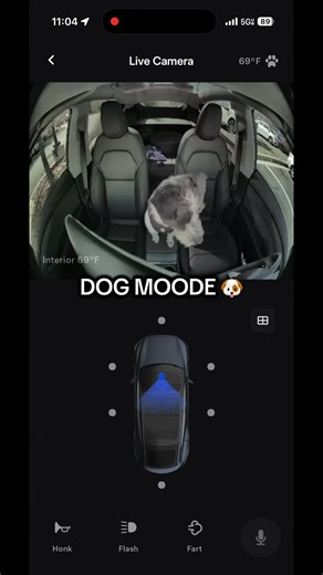 Discover the Benefits of Tesla's Dog Mode Feature