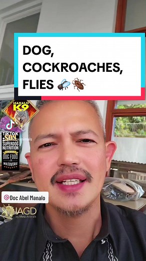 DOG, COCKROACH, FLIES 🪰🪳 @Doc Abel Manalo #dogs #cockroaches #flies #vet #veterinarian #dogcare #dogfood #preydrive #ManaloK9