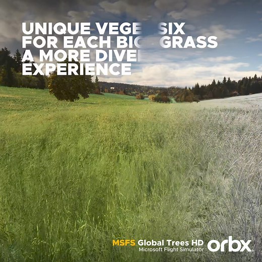 448 reactions · 200 comments |  Get ready to experience another level of realism on your Microsoft flight simulator with Dmytro Krykunov's latest release, MSFS Global Trees HD for MSFS 2020. | Orbx | Facebook