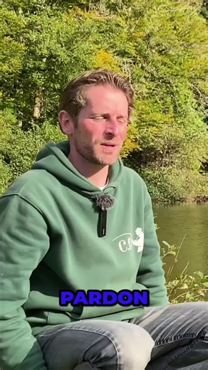 Stratégies d'amorçage pour la pêche en étang : quelle quantité utiliser et comment configurer votre pêche. #Pêche #fishing #carpe #pechecarpe#TechniquePêche #Amorçage #PêcheEnÉtang #ConseilsPêche