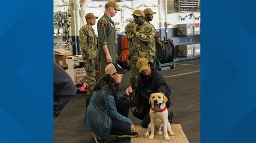 Virginia Beach nonprofit trains service dogs for veterans, law enforcement for free