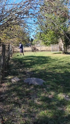 Satisfying Fence Line Trimming
