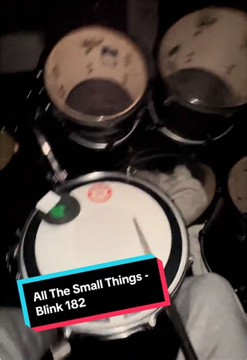 All The Small Things - Blink 182 #fyp #coversong #viral #trending