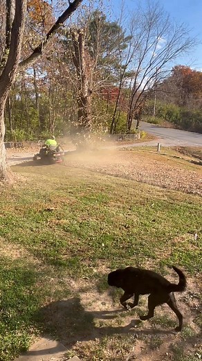 It’s such a beautiful day to mulch up those leaves!! Sunny and warm! Couldn’t ask for a better day! It’s so satisfying to watch! #mowing #daddysgirlforever #fypageシ Joe Harszy Sr. Thank you!! | Amy’s World
