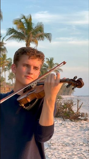 poetic rizz song on violin 🎻 “Theme De La Lecon Particuliere” #shorts