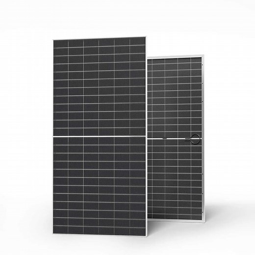 Renogy 590W N-Type Bifacial Monocrystalline Solar Panels | 600W Class
